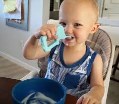 The Baby Toon Net Worth - Cassidy'S Success After Shark Tank - Techie +  Gamers