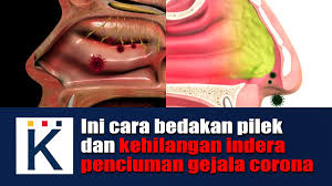 Ini Cara Bedakan Pilek Dan Kehilangan Indera Penciuman Gejala Corona Kontan Tv Your Business Investment Insight