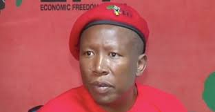 The politico's foray started early. Cyril Ramaphosa Will Not Finish His Term Of Office Julius Malema
