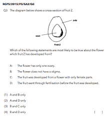 Maybe you would like to learn more about one of these? Student S Guide To Asking The Right Questions Plants That Do Not Bear Flowers