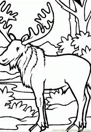 Each one is more intricate than the previous and is a wonderful. Moose In Jungle Coloring Page For Kids Free Mouse Printable Coloring Pages Online For Kids Coloringpages101 Com Coloring Pages For Kids