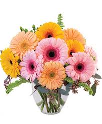 Flowers by sharon shelbyville kentucky. Kentucky Florist Buy Flowers From Your Local Full Service Retail Flower Shops And Florists Serving Kentucky