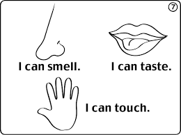 I can even use my mouth for breathing! Pin On Cinque Sensi