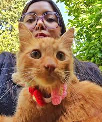 Katy Jiménez 🌻🌟