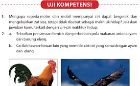 We did not find results for: Jawaban Uji Kompetensi Bab 2 Halaman 91 Ipa Kelas 7 Klasifikasi Makhluk Hidup Bastechinfo