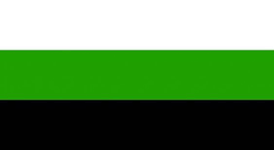 Black And White American Flag With Green Stripe Meaning Pin On Pride Flags Identity