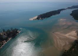 Berikut lima inspirasi hadiah dan kegiatan yang menarik di hari ayah sedunia: Guc6jqimjts 3m