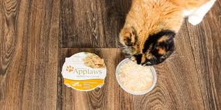 The 10 best canned cat foods. 2021 Applaws Cat Food Review Best Nutritious Cat Food