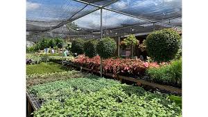 View all wholesale nurseries in massachusetts, united states and their contact information. Free Downloadable Social Distancing Signs Now Available Nursery Management