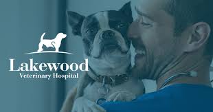Our board certified veterinarians are here to help your pet 49 reviews of pet doctor dr. Lakewood Vets Lake Norman S Neighborhood Veterinary Hospital