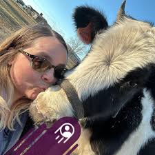 Has anyone had lasik eye surgery?