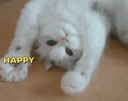 Product Hunt The Best New Products In Tech Happy Birthday Funny Cats Happy Birthday Cat Cat Birthday Memes
