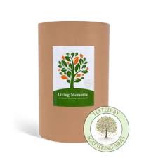 In fact, planting a tree is rather a plus for the environment! Urns For Tree And Shrub Planting Scattering Ashes