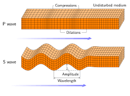 Image result for P Wave