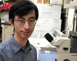 THE NONSENSE SUPPRESSOR