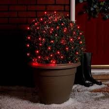 5m Outdoor Battery Fairy Lights Green Cable Fairy Lights Lights Outdoor Trees