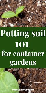When you get to the last hole at the end of the garden, fill it with the soil from the first hole. Potting Soil 101 For Container Gardens For Herbs And Veggies Patio Garden Life