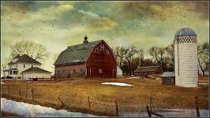 Iowa Iowa Farms Farm Scene Old Barns