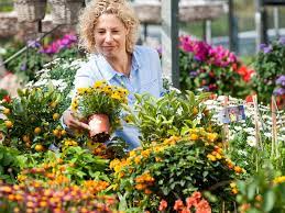Seit 30 jahren ist dort nichts mehr gemacht worden. Startseite Garten Von Meyer