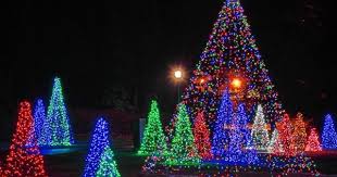 The Tourist Guide To The Exciting Festivals In Canada Christmas Tree Images Festival Lights Winter Light Festival