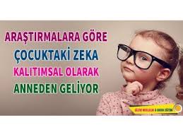 Etkileri Inanilmaz Beyni Yenileyip Hafizayi Guclendiriyor Super Bilgiler Egitim Recete Bilgi