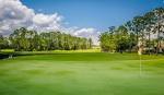 Golf Course Fleming Island | Eagle Harbor Golf Club