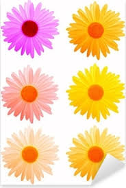 I disegni ve li propongo in varie grandezze per poter dar sfogo alla vostra fantasia , le sagome di fiori con sei petali con estremità appuntita , al centro altri sei petali piccoli con punta arrotondata e. Adesivo Margherita Fiori Colorati Per I Vostri Disegni Su Bianco Pixers Viviamo Per Il Cambiamento