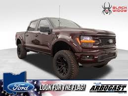 Image result for Brown 2025 Ford