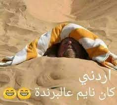 موجة الغبار تشعل مواقع التواصل الاجتماعي بالتعليقات الساخرة صور bean bag chair furniture chair