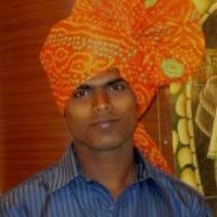 PDF) Trends and composition of trawl bycatch and its implications