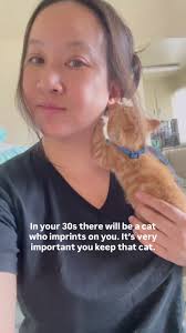 The Parasite That Makes Us Love Cats