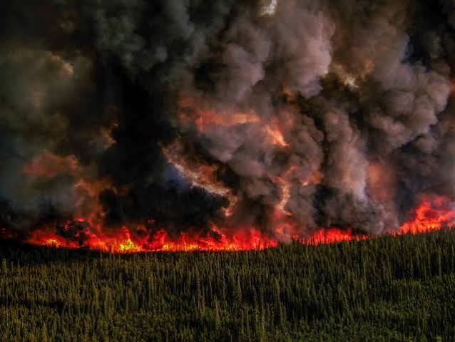 It burns wild and free up there': Canada fires force US crews to shift strategy | Wildfires | The Guardian