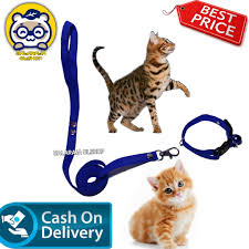 Ini adalah cara melatih kucing agar nurut yang benar dan tepat. Jual Tali Terbaik Harga Termurah Lazada Co Id