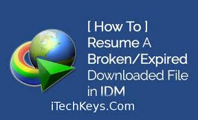 How To Resume Expired Broken Downloads Links Idm Itechkeys Resume School Logos Download File