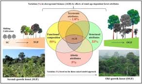 8 martie 2013 prezenta forma actualizata este valabila de. Stand Structural Attributes And Functional Trait Composition Overrule The Effects Of Functional Divergence On Aboveground Biomass During Amazon Forest Succession Sciencedirect