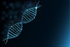 there s a good chance your relatives dna is online that means people can find you too rare disease dna mitochondrial dna