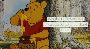 Maybe you would like to learn more about one of these? 50 Most Beautiful Winnie The Pooh Quotes