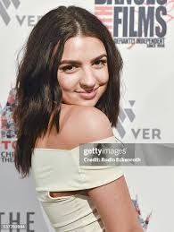 519 California Fawn Stock Photos, High-Res Pictures, and Images