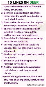 Camel is an animal that you will see often in the desert. 10 Lines On Deer In English For Children And Students