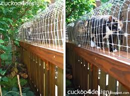 16 diy projects purrfect for cat lovers: Easy Diy Cat Enclosure To Keep Your Indoor Cats Happy And Safe