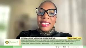 🎥] Dean Barnard (BOSA Youth Secretary) making his voice heard at the 5th  African Peer Review Mechanism symposium at the Pan African Parliament!  #BuildOneSA #YouthInAction #APRM2025