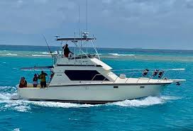 Check spelling or type a new query. Exclusive Boat Charter Aruba Vip As A Motor Yacht Rental For Charter To Enjoy In Aruba Picture Of Exclusive Boat Aruba Tripadvisor