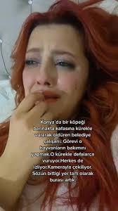 Köpeğin Kafasını Kürekle Burup Öldüren Adam Ne Kadar Köpek Öldürdü