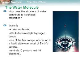 In cold weather bodies of water tend to develop a floating cover of ice allowing short answer : Lesson Overview 2 2 Properties Of Water Ppt Video Online Download