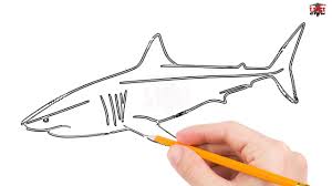 How To Draw A Great White Shark Step By Step Easy For Kids Simple Sharks Drawing Tutorial Youtube