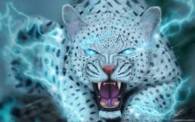 Bildergebnis für fantasy katze