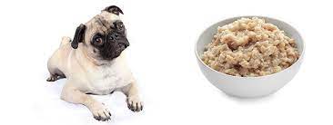 Final thoughts is oatmeal okay for dogs? Is Oatmeal Bad For Dogs Pasteurinstituteindia Com