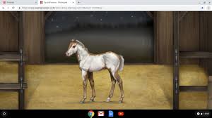 Equinepassion Game Is The Best Horse Game Ever This Is My Most Beautiful Foal Horse Games Horses Foals