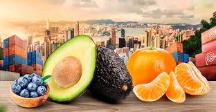 Principales destinos de agroexportaciones en el 2023: ¿Cuáles fueron los 10?