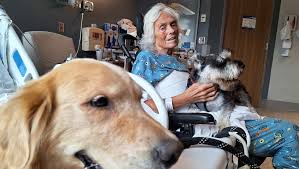 Fundraiser by Steve Breines : Nancy Needs Help